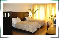 Hotel Janpath, Delhi