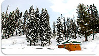 Best of Kashmir Tour