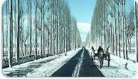 Jammu & Kashmir Tours
